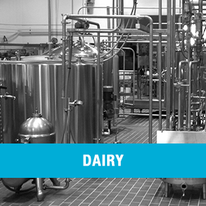 Dairy Processing